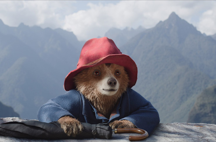 Paddington v džungli